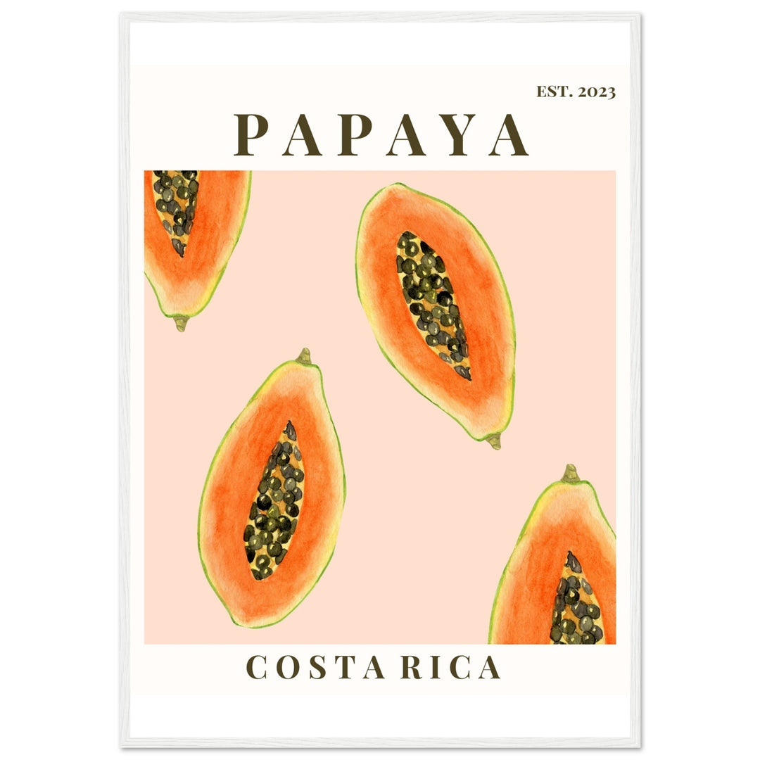 CUADRO PAPAYA COSTA RICA