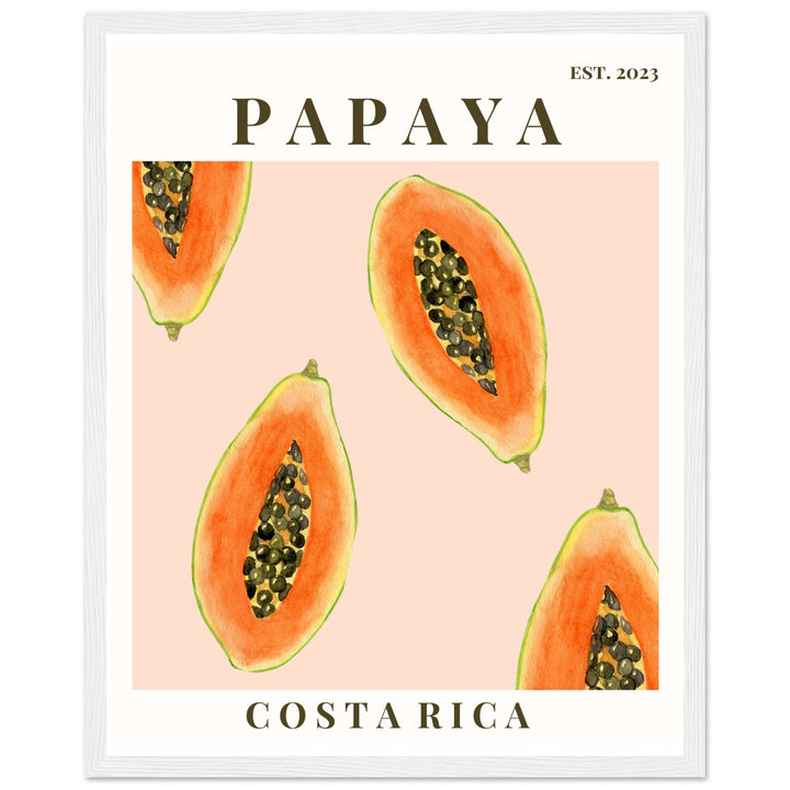 CUADRO PAPAYA COSTA RICA