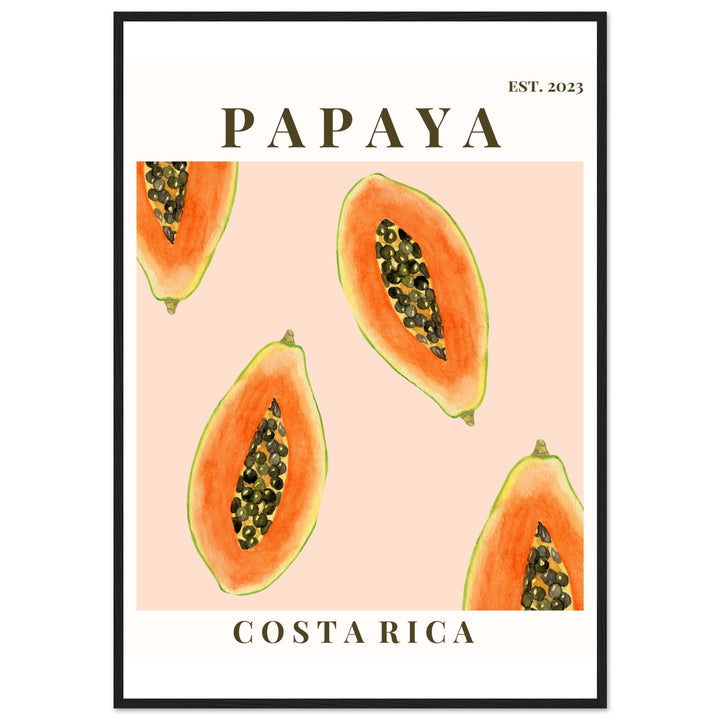 CUADRO PAPAYA COSTA RICA