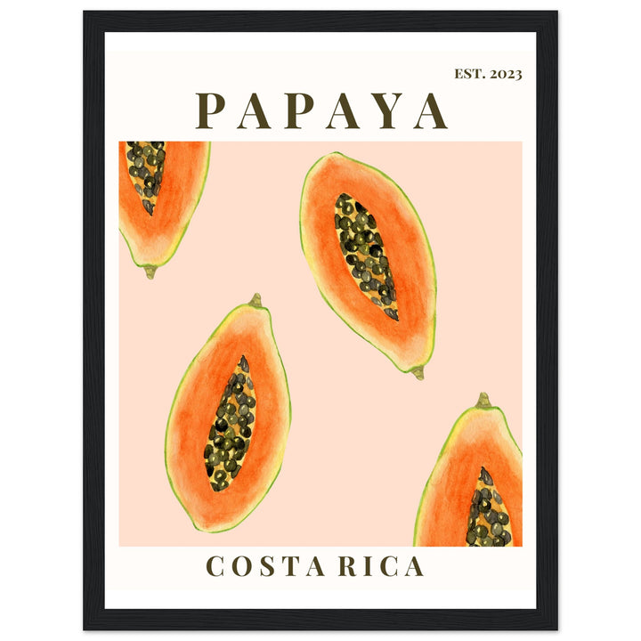 CUADRO PAPAYA COSTA RICA