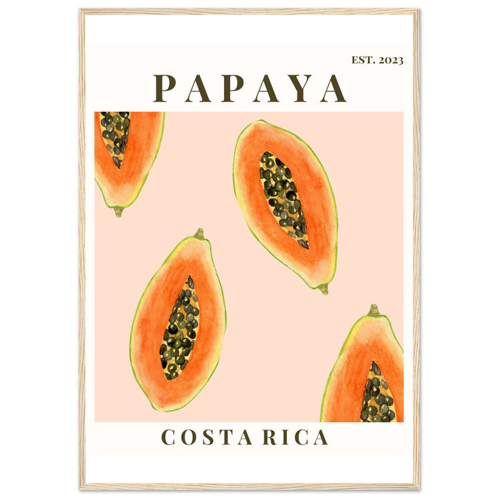 CUADRO PAPAYA COSTA RICA