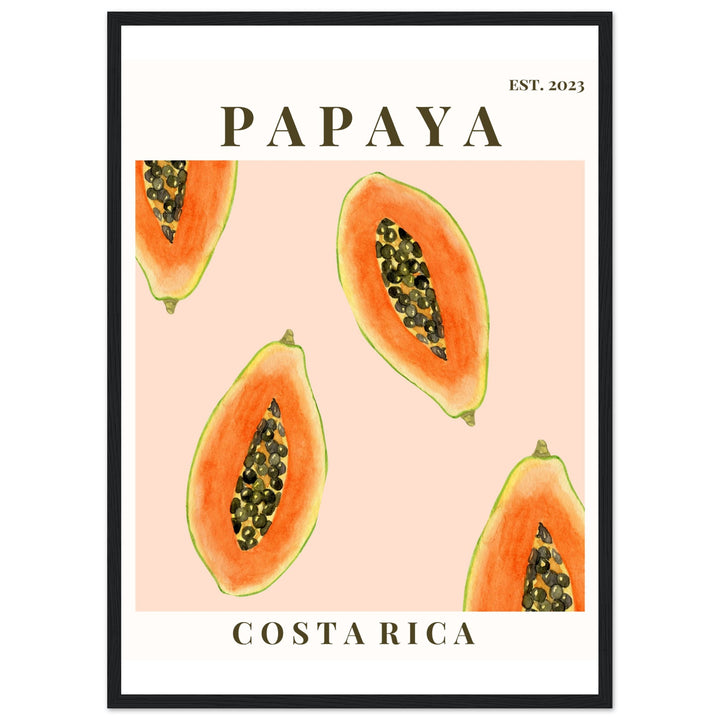 CUADRO PAPAYA COSTA RICA