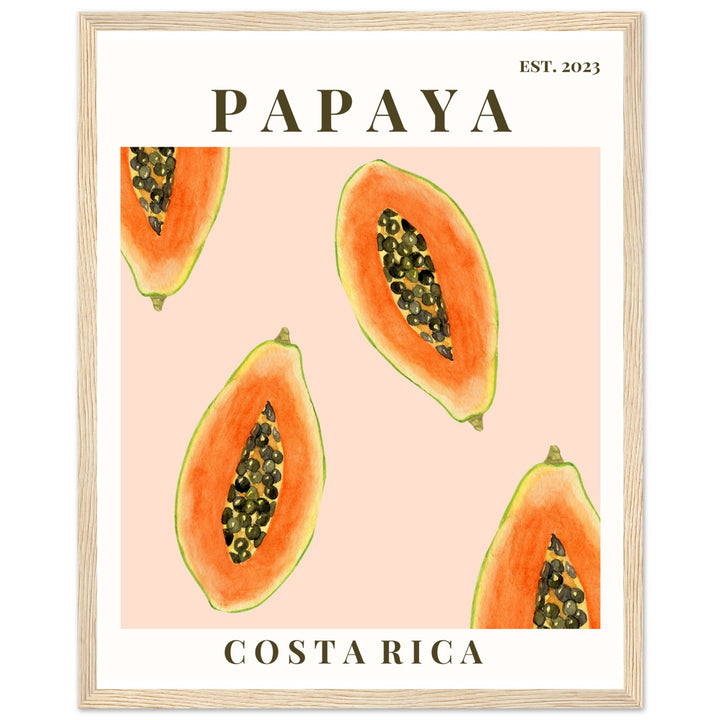 CUADRO PAPAYA COSTA RICA