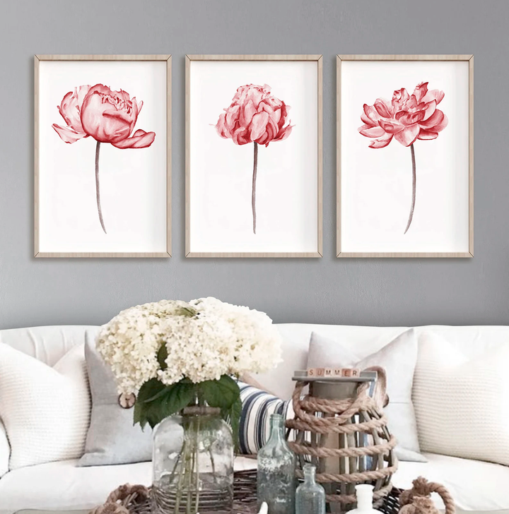 PEONIES III