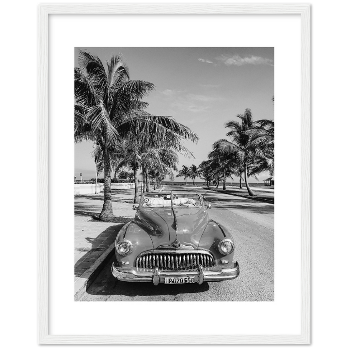 CARRO PALM