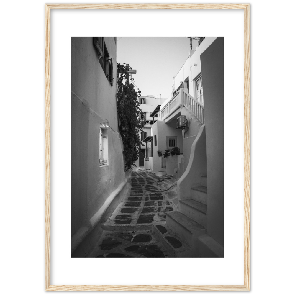 CALLE BLANCA