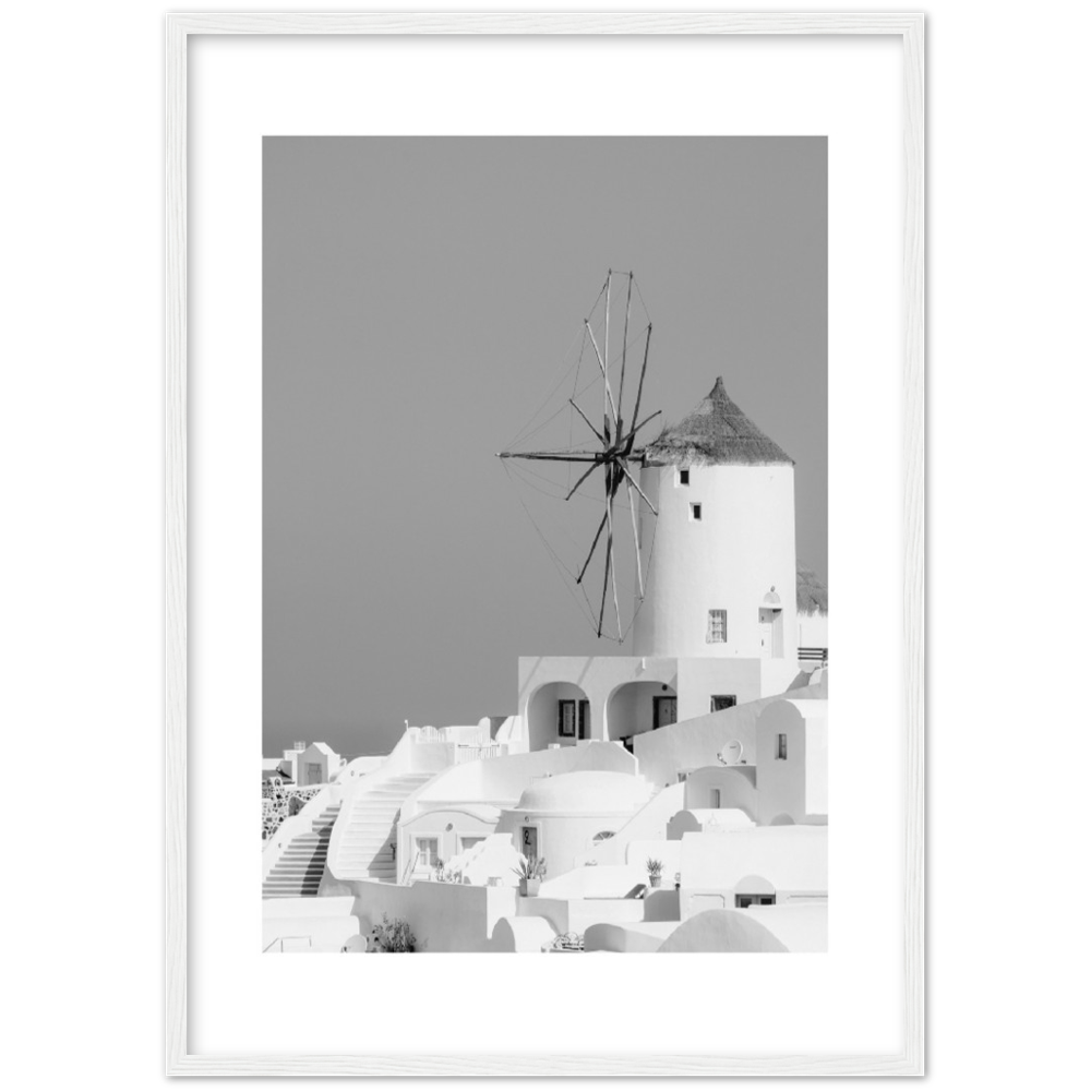 MOLINO BLANCO