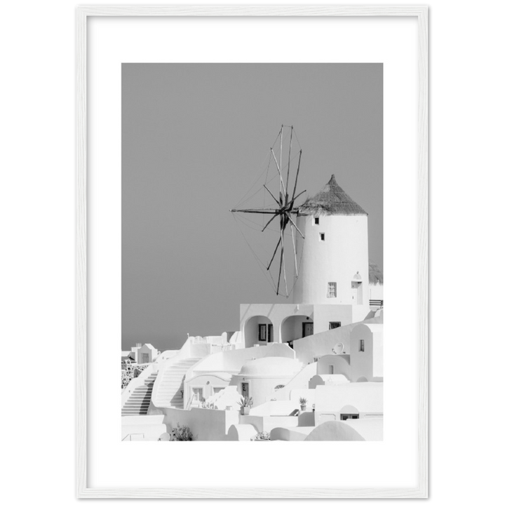MOLINO BLANCO