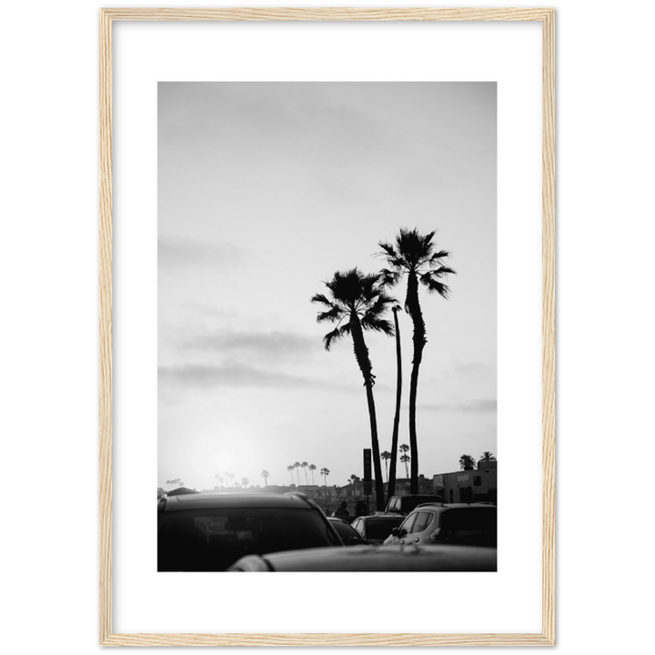 PALM STREET