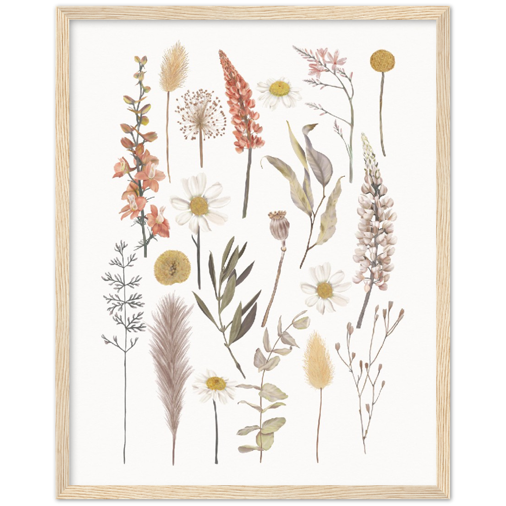 BOTANIC COMPO