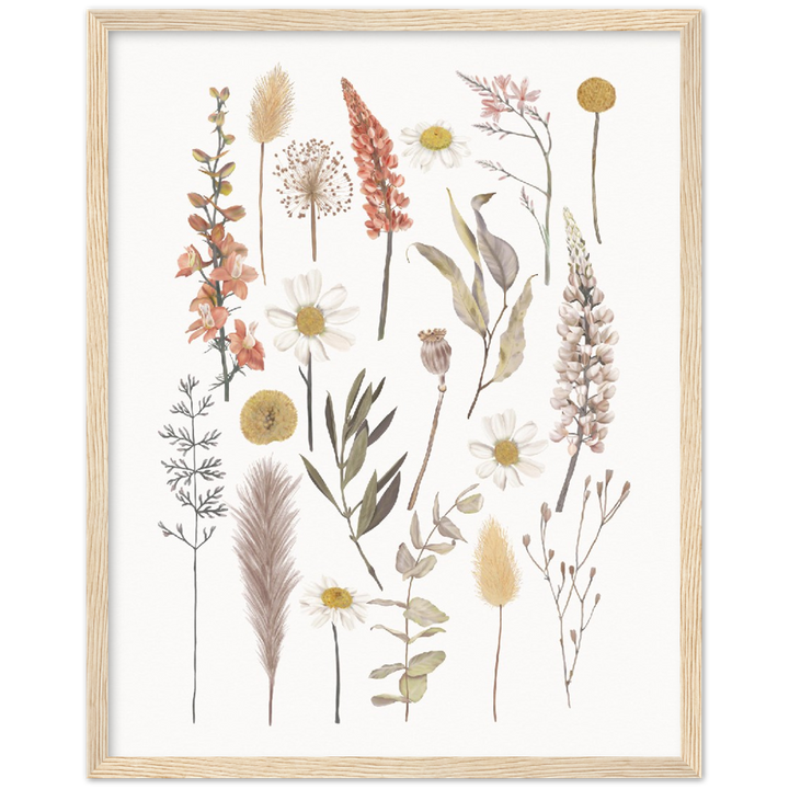 BOTANIC COMPO