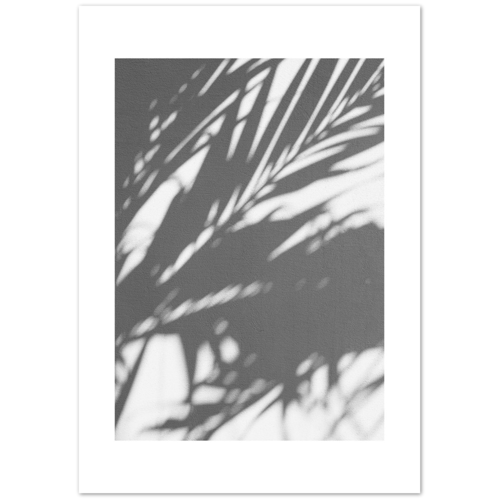PALM SHADOW
