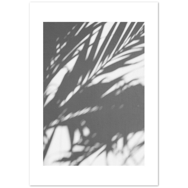 PALM SHADOW