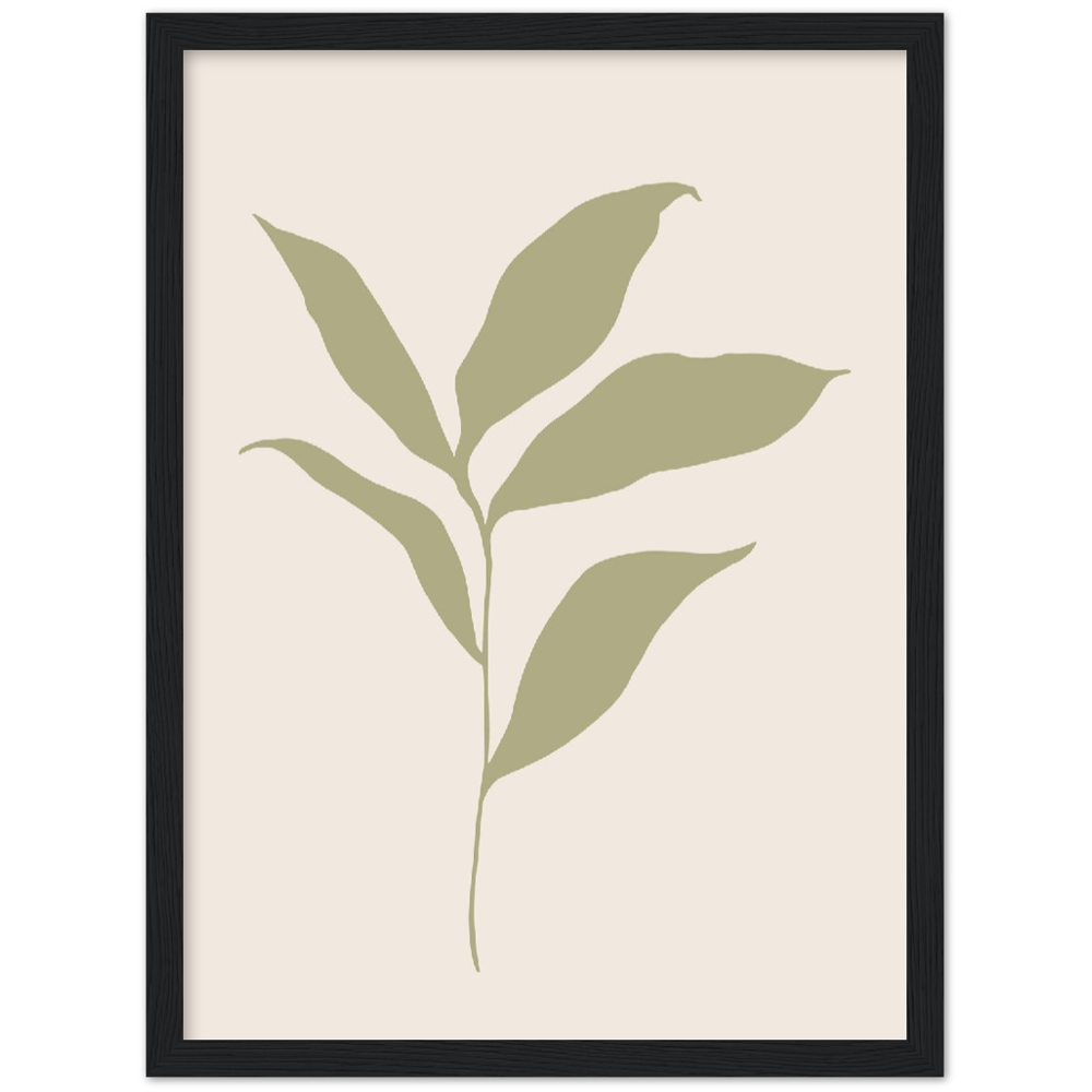 FLOR MUSA IV