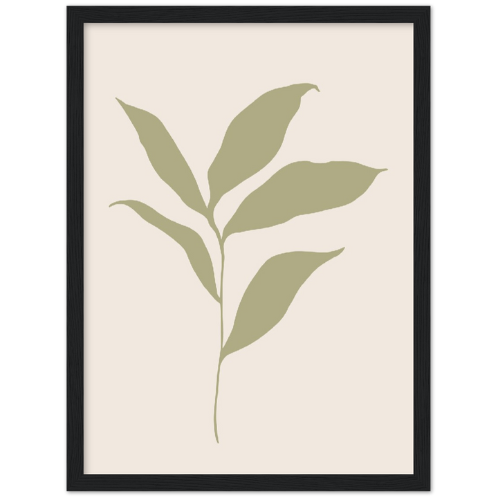 FLOR MUSA IV