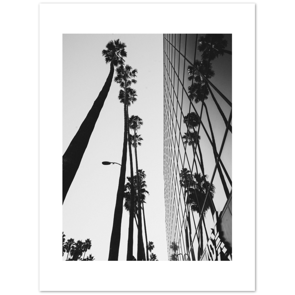 PALM TOWER