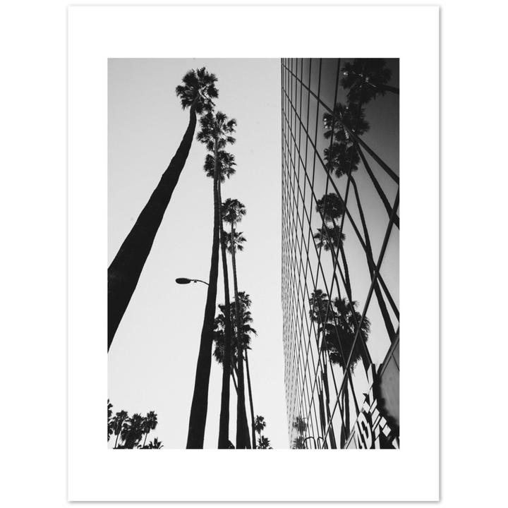 PALM TOWER