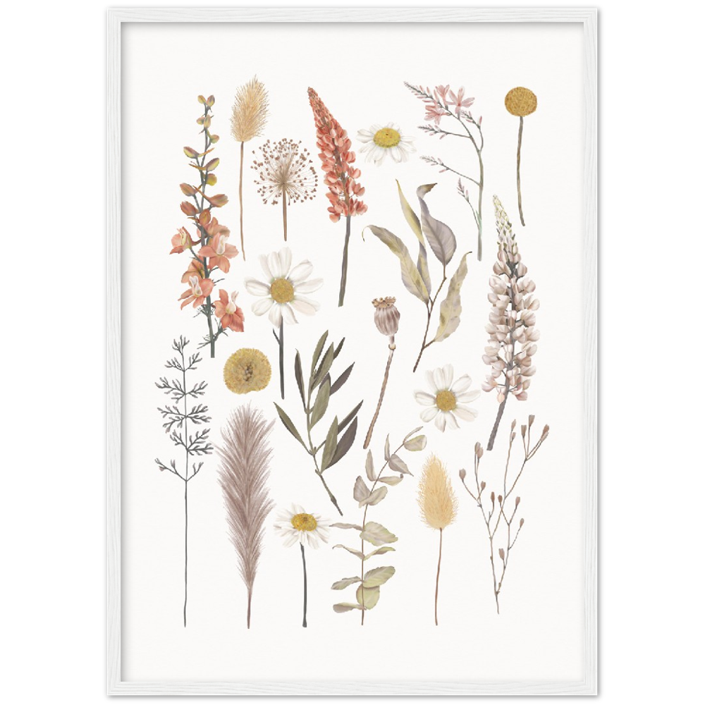 BOTANIC COMPO
