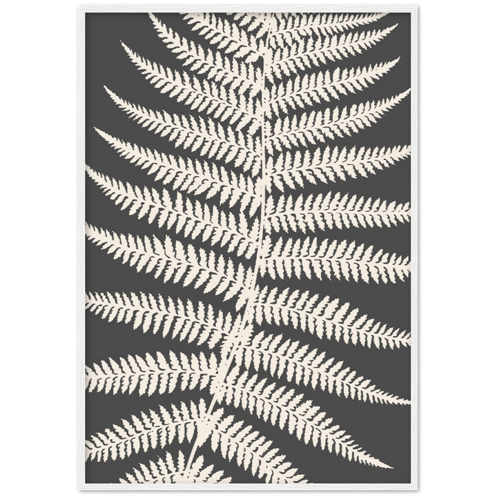 GREY FERNAT III