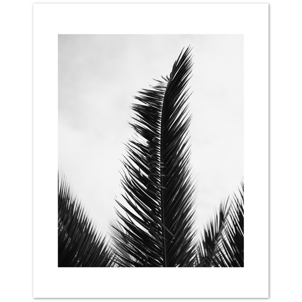 TRIPALM