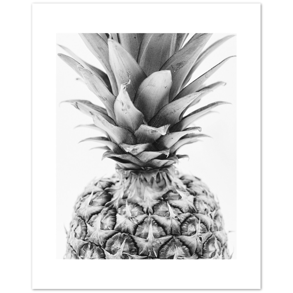 PIÑA DETALLE