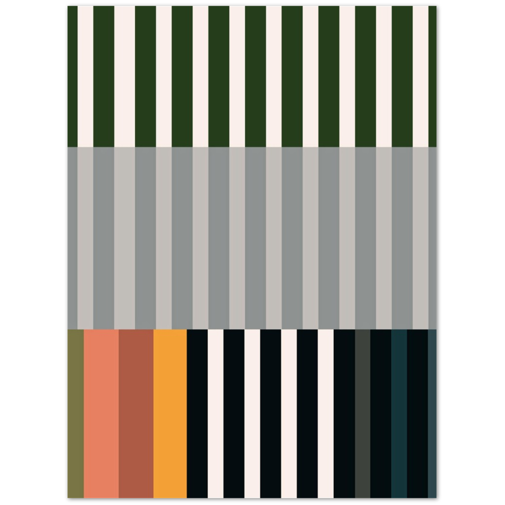 RAYVISION IV