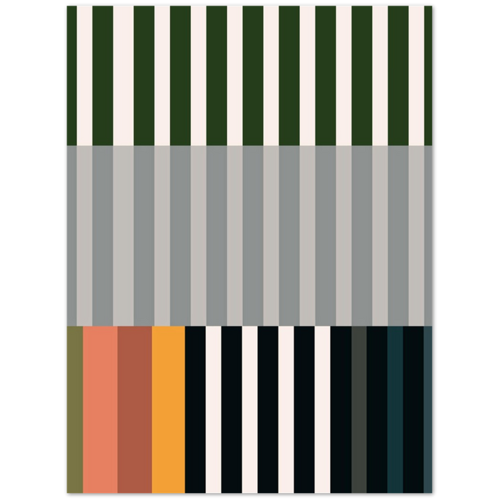 RAYVISION IV