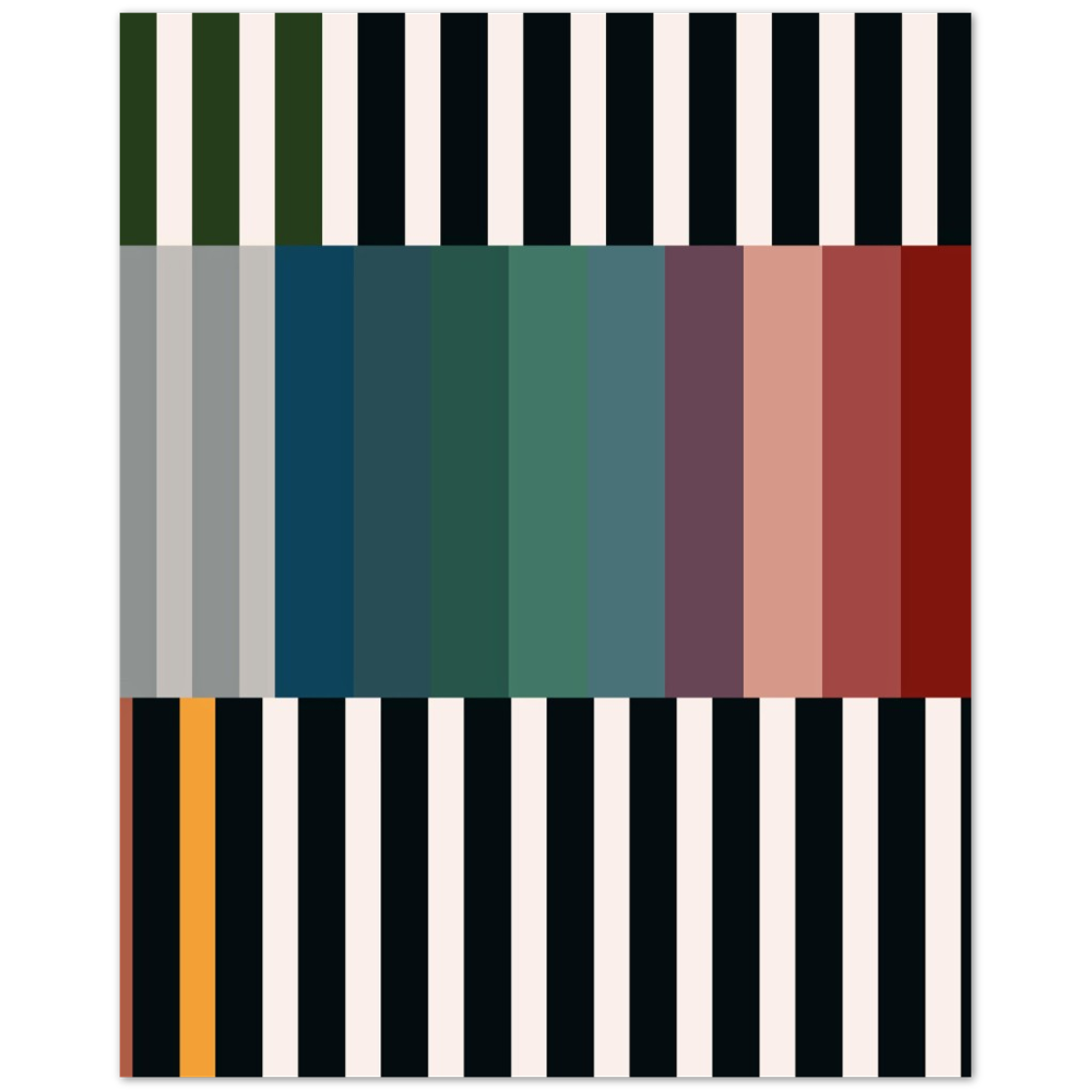 RAYVISION I
