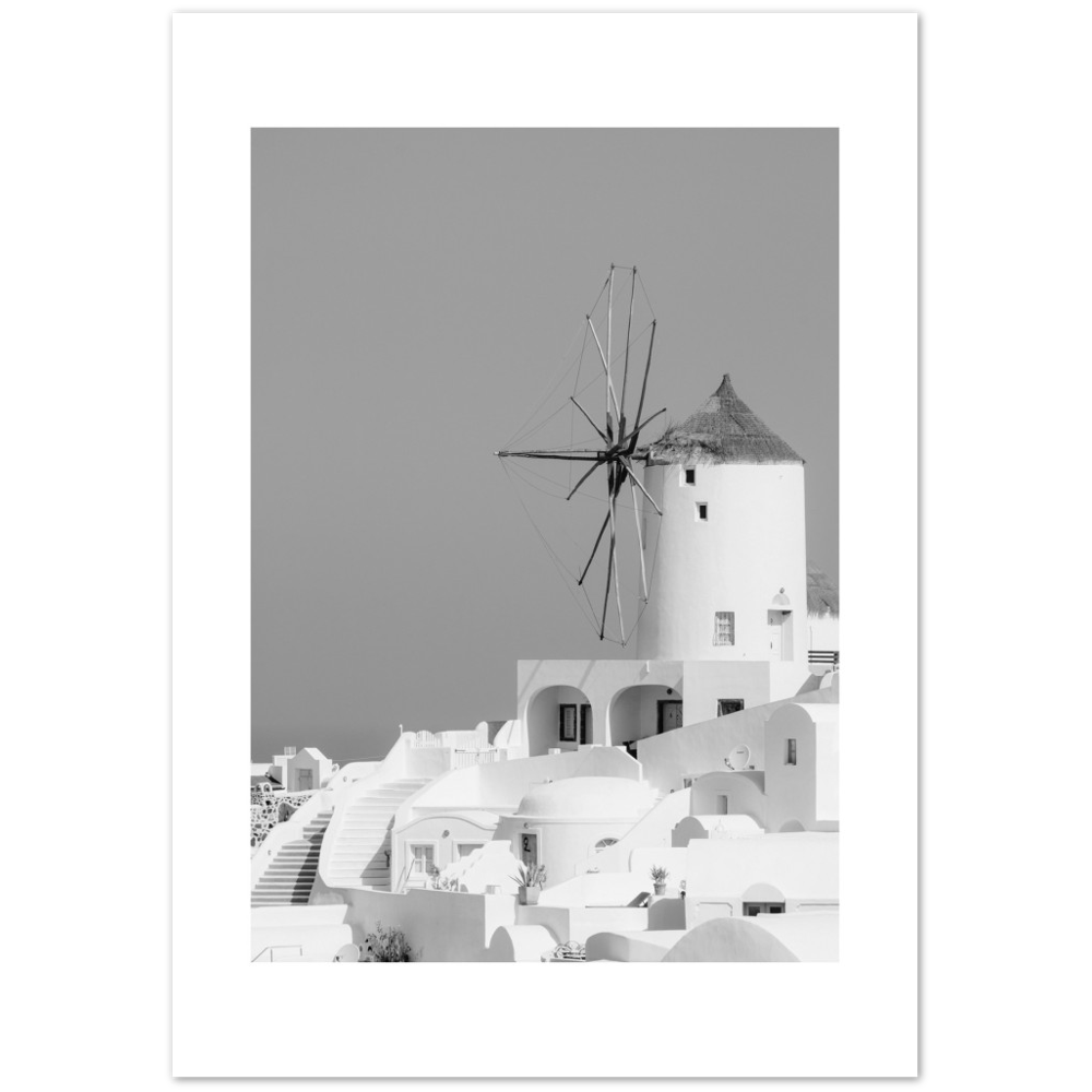 MOLINO BLANCO