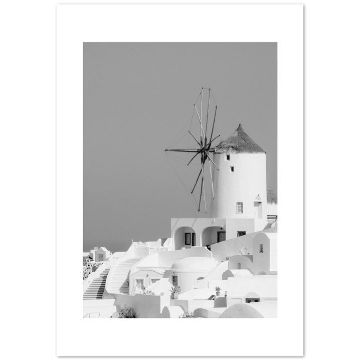 MOLINO BLANCO