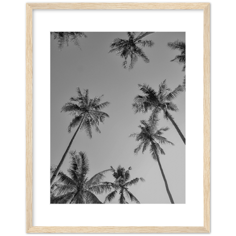 PALMAS GREY I