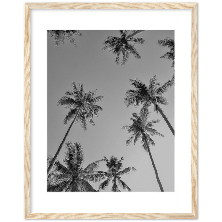 PALMAS GREY I