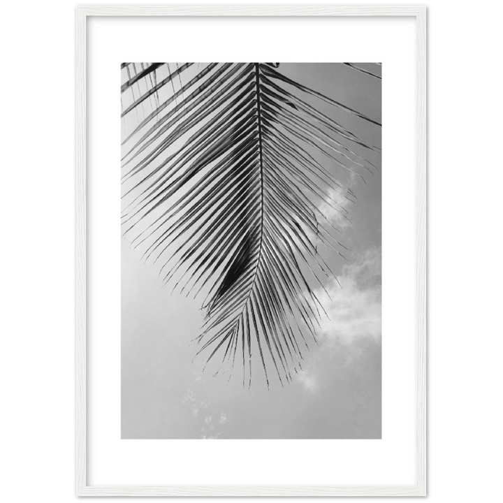 PALM CLOUD