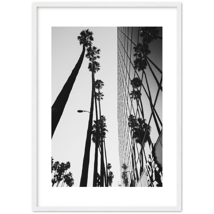 PALM TOWER
