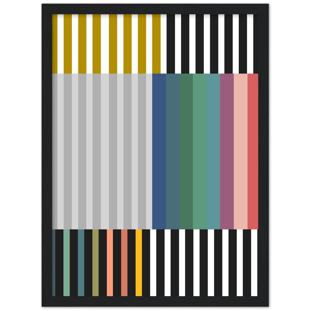 RAYVISION III