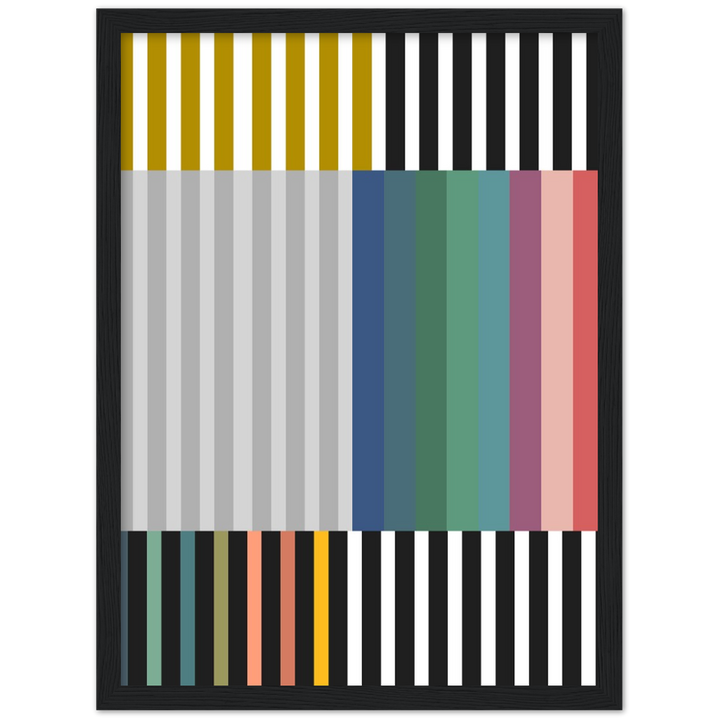 RAYVISION III