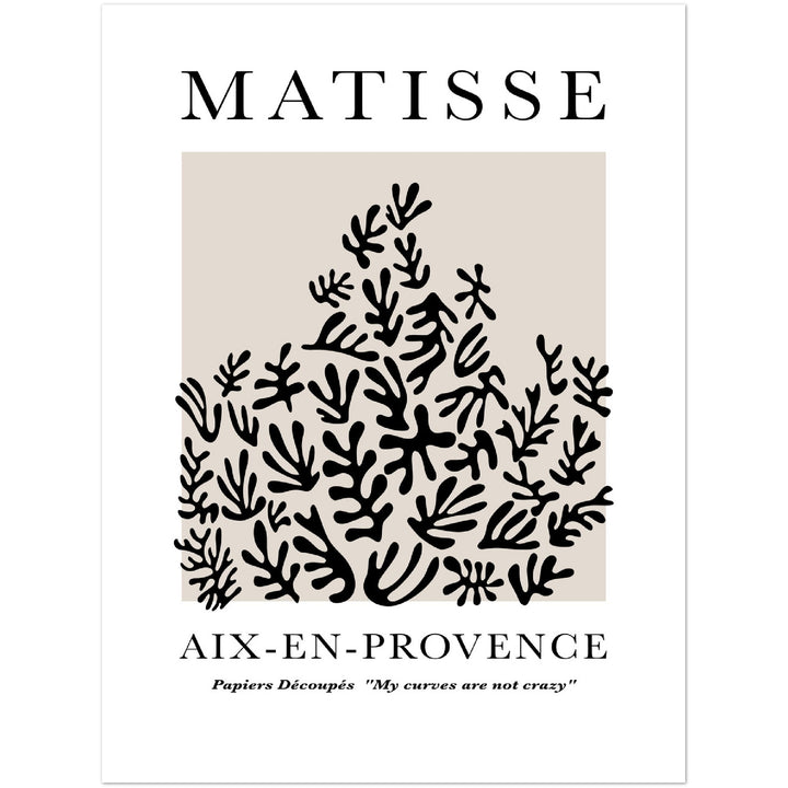 MATISSE PLANT