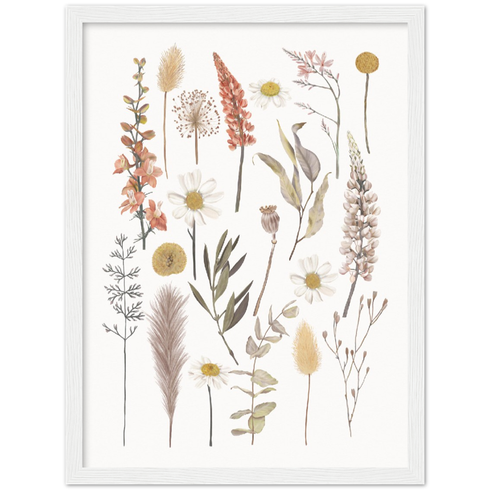 BOTANIC COMPO