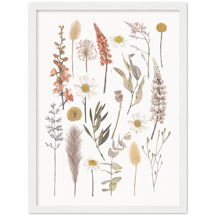 BOTANIC COMPO
