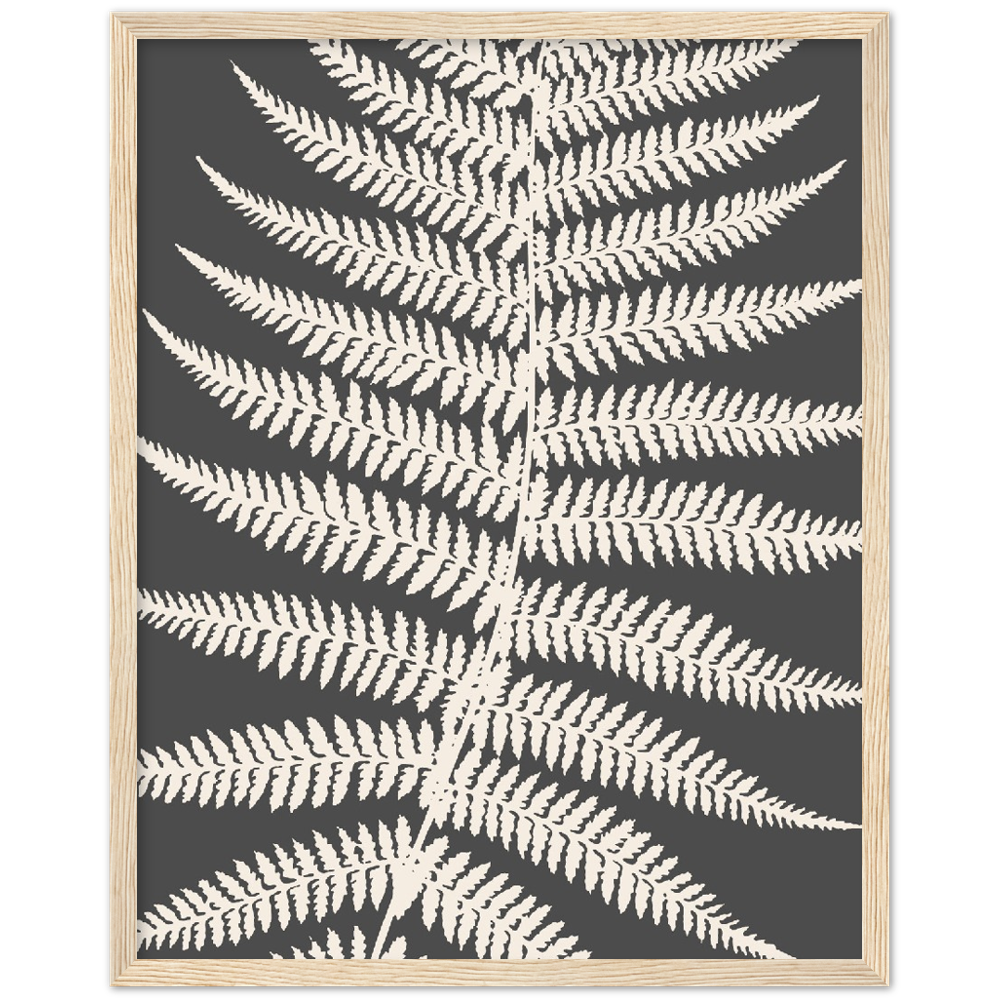 GREY FERNAT III