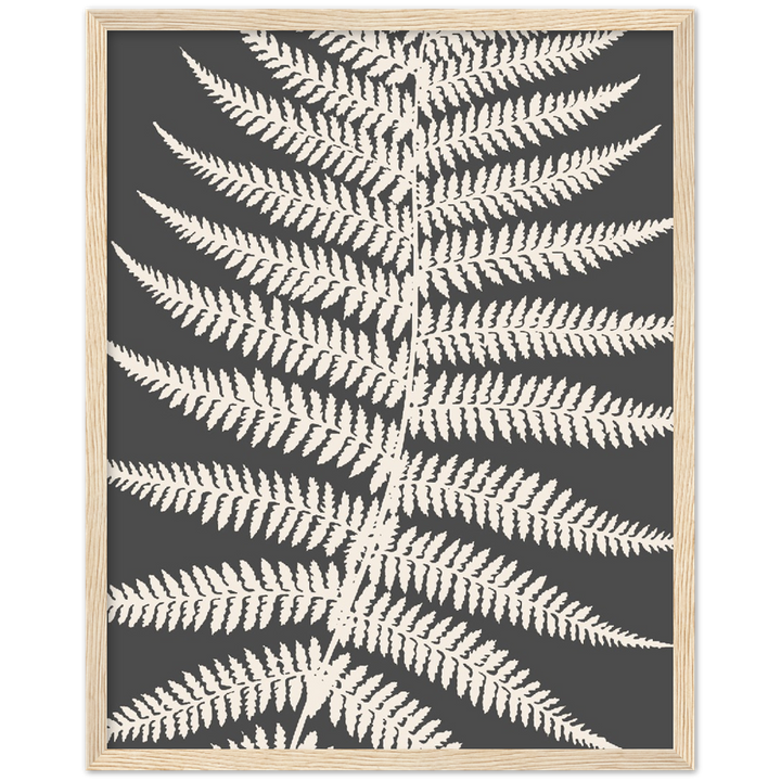 GREY FERNAT III
