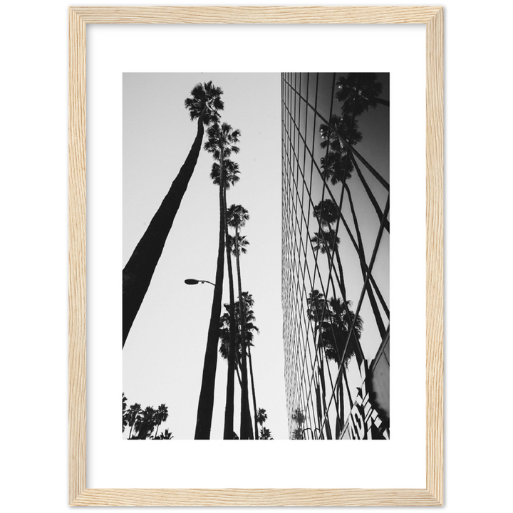 PALM TOWER