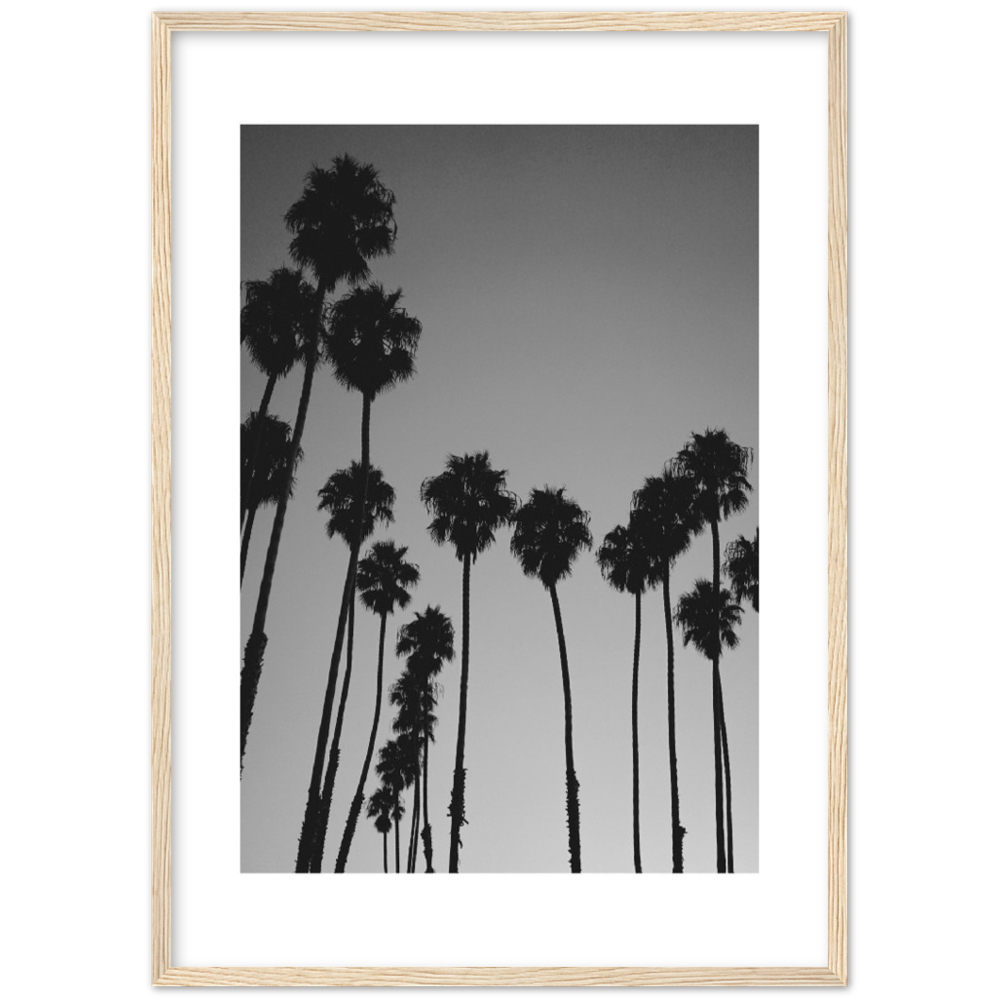 LARGE PALM