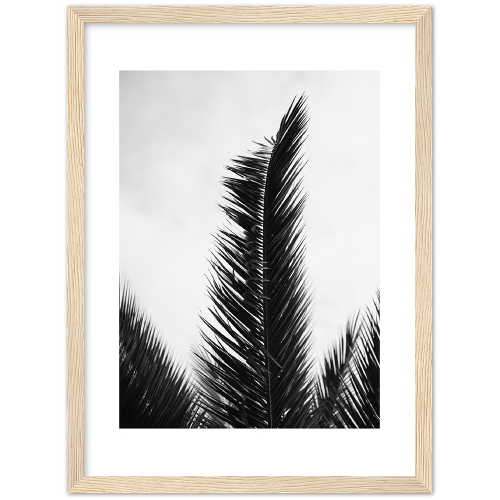 TRIPALM
