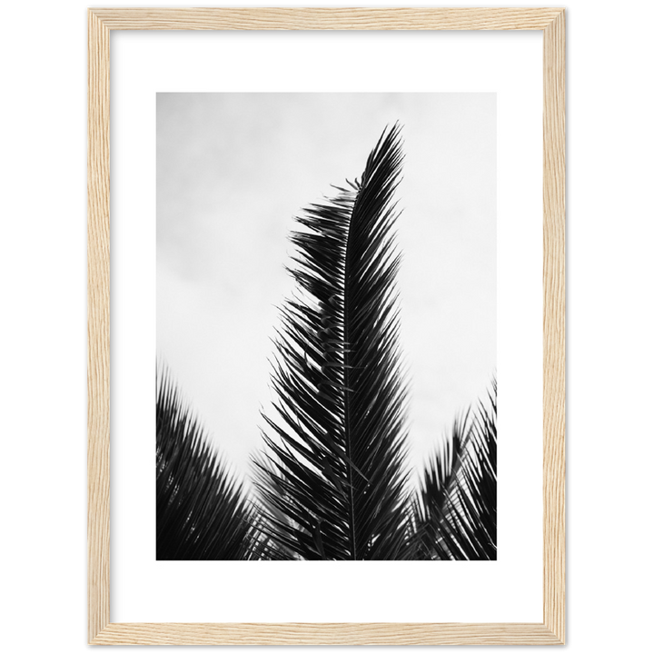 TRIPALM