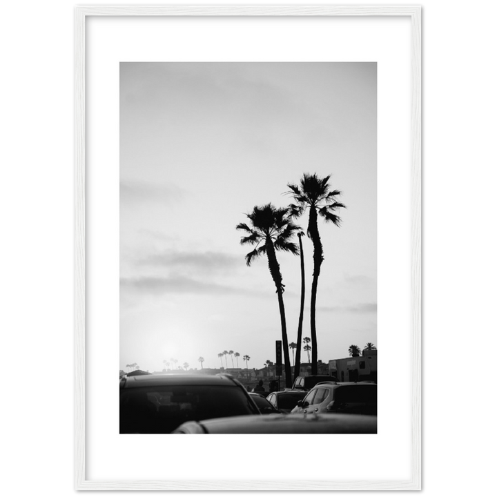 PALM STREET