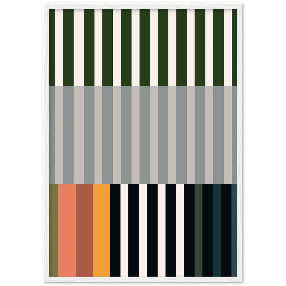 RAYVISION IV
