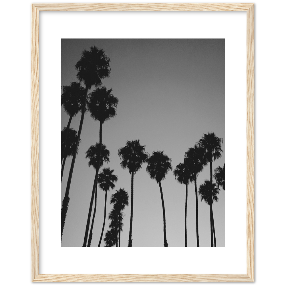 LARGE PALM