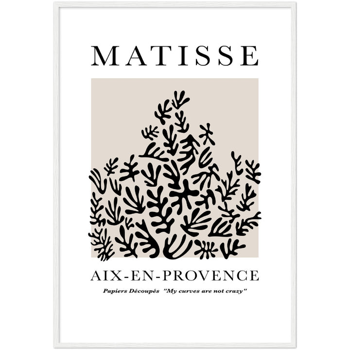 MATISSE PLANT