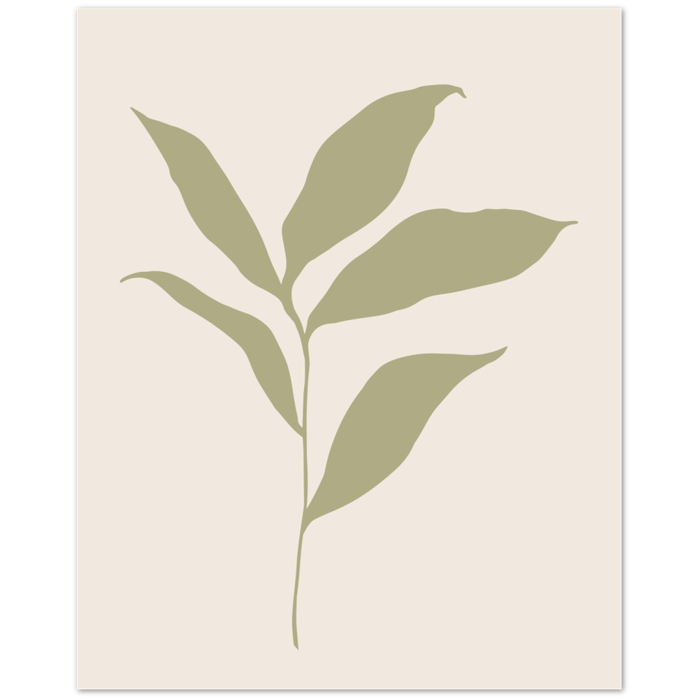 FLOR MUSA IV